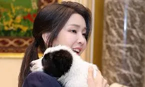 관련 이미지