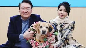 관련 이미지