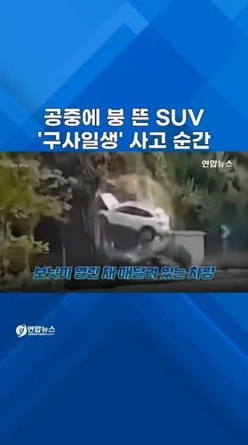 관련 이미지