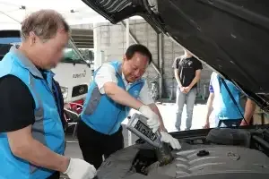 관련 이미지