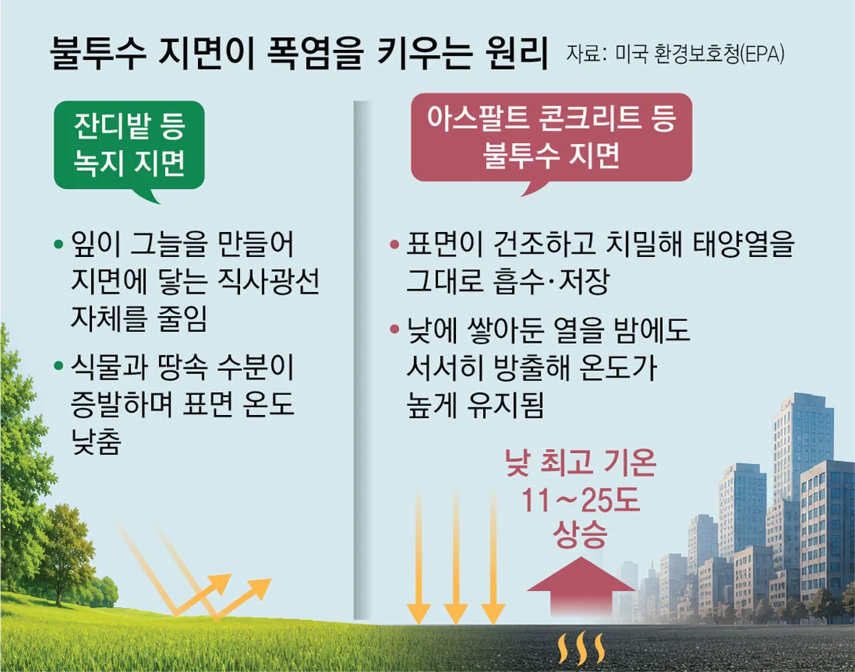 관련 이미지